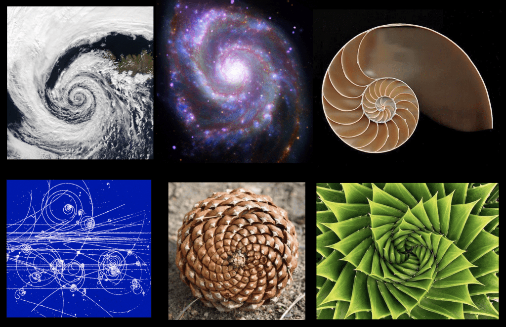 Fibonacci fractal