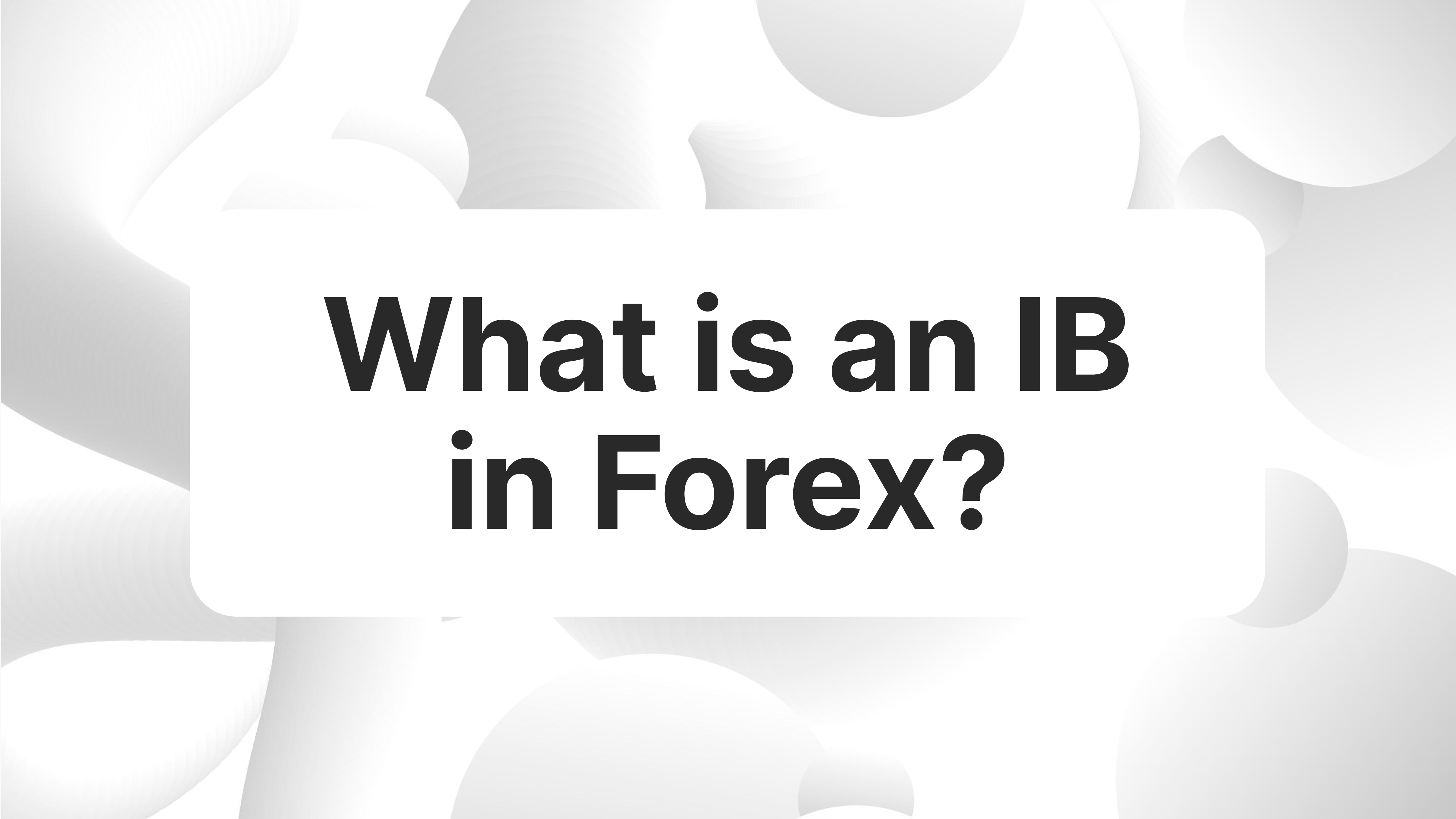 What is Introducing Brokers (IB)?