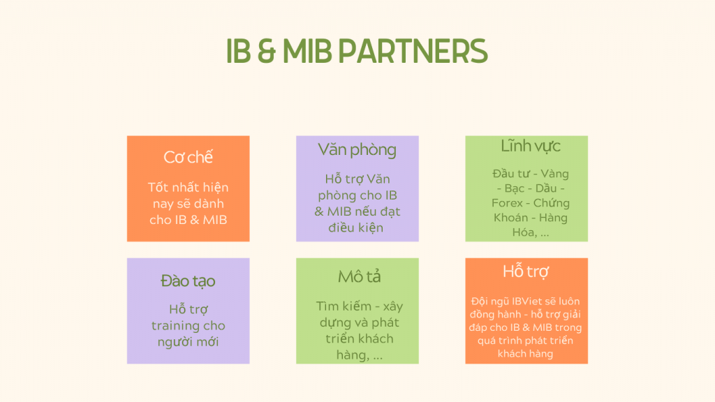 What is Master Introducing Brokers (MIB)?