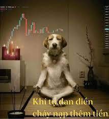 XAU trader cháy nạp thêm tiền